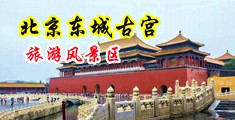 白虎淫穴在线观看中国北京-东城古宫旅游风景区